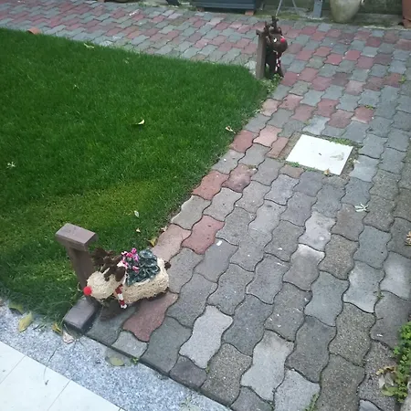 Frühstückspension Sa Serenidadi Solèminis